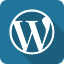 wordpress theme Icon